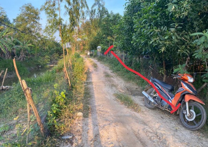 Bán Lô Đất Lớn 9423m² Tại Xuân Hưng, Xuân Lộc – Đường Xe Hơi Vào Tận Đất, Giá Tốt Đầu Tư