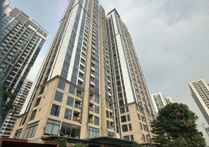 Căn chung cư xịn xò Masteri Ocean Park1: