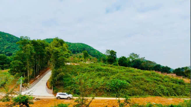 SIÊU PHẨM ĐẤT NÔNG NGHIỆP TẠI LẠC DƯƠNG – CƠ HỘI VÀNG CHO NHÀ ĐẦU TƯ