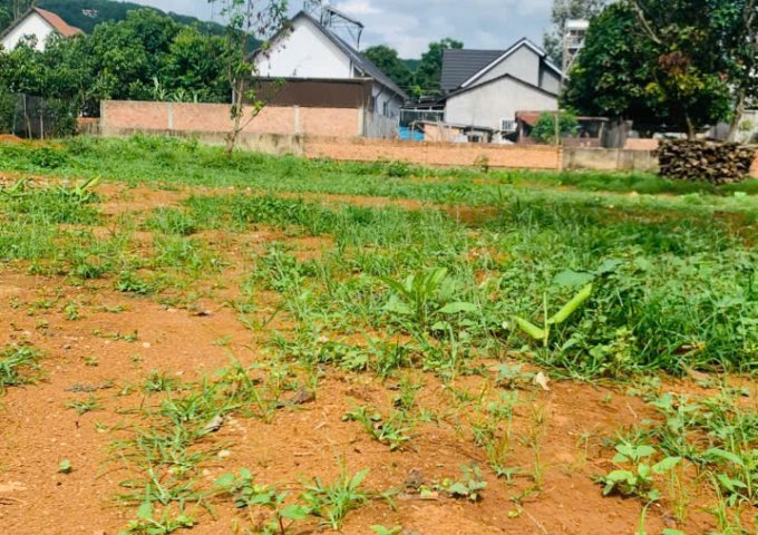 SIÊU PHẨM ĐẤT NÔNG NGHIỆP TẠI LẠC DƯƠNG – CƠ HỘI VÀNG CHO NHÀ ĐẦU TƯ