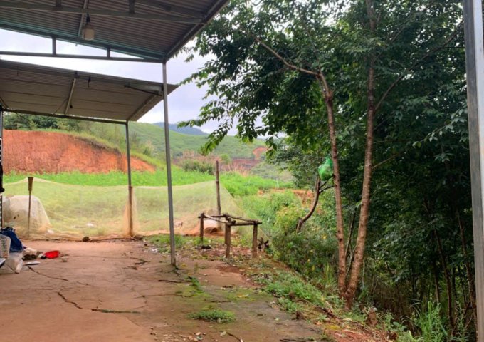 SIÊU PHẨM ĐẤT NÔNG NGHIỆP TẠI LẠC DƯƠNG – CƠ HỘI VÀNG CHO NHÀ ĐẦU TƯ