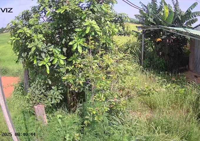 ► CHO THUÊ NHÀ & ĐẤT DIỆN TÍCH LỚN – GIÁ RẤT TỐT.