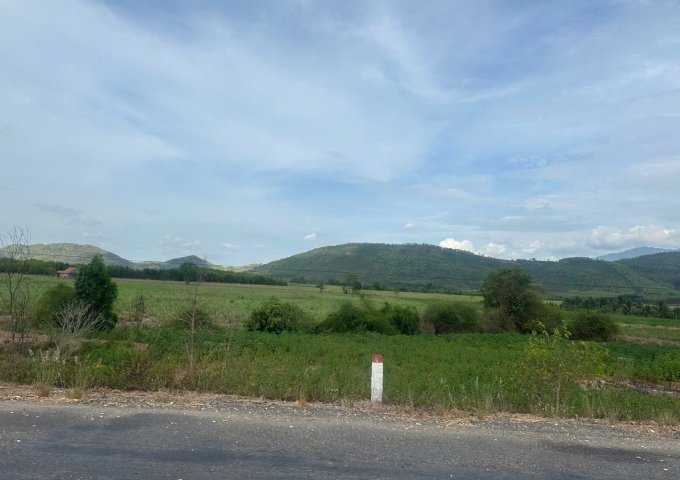 CHÍNH CHỦ BÁN ĐẤT MẶT TIỀN TỈNH LỘ 8 – THÔN TÂN SƠN, XÃ NINH XUÂN, NINH HÒA – KHÁNH HÒA