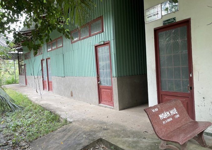 Cần Bán Đất Vườn Dừa 5.068 m² Gần UBND Xã Phú Long, Huyện Bình Đại – Bến Tre Cũ