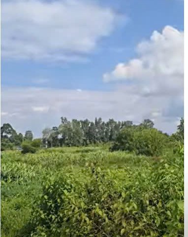 CẦN BÁN GẤP LÔ ĐẤT VEN SÔNG SÀI GÒN – CỦ CHI