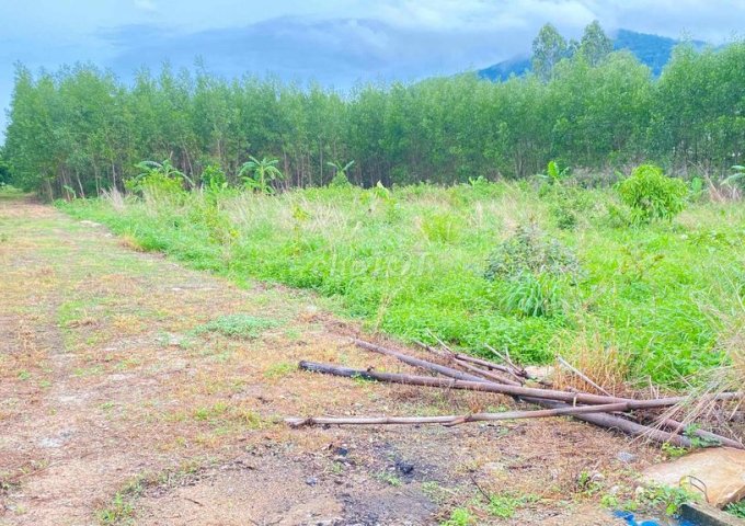 CHÍNH CHỦ BÁN LÔ ĐẤT 9.150m² – XÃ CHÂU PHA, PHÚ MỸ, BÀ RỊA - VŨNG TÀU