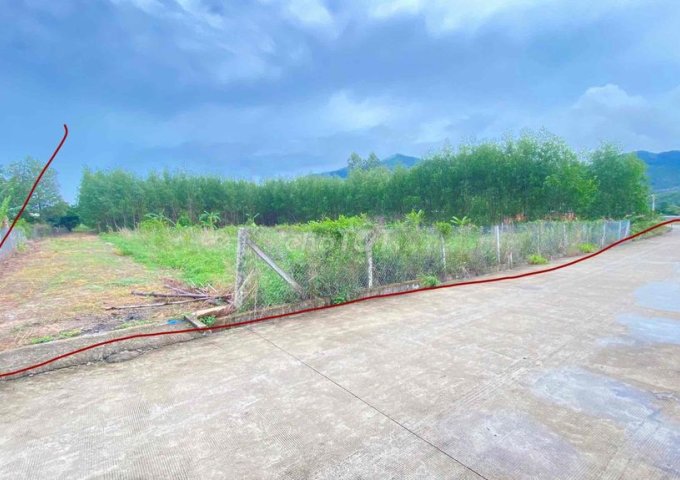 CHÍNH CHỦ BÁN LÔ ĐẤT 9.150m² – XÃ CHÂU PHA, PHÚ MỸ, BÀ RỊA - VŨNG TÀU