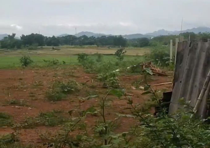 Cần bán nhanh lô đất vị trí đẹp- khả năng sinh lời cao