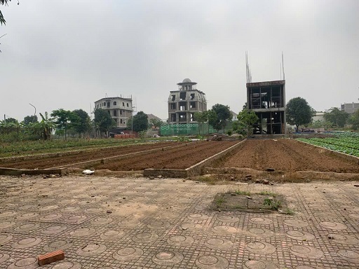 Bán liền kề 100m2, MT 5m, dự án Cienco 5 Mê Linh, sổ đỏ hoặc hợp đồng góp vốn, giá chỉ từ 25tr/m2