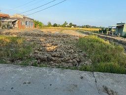 Đường xe hơi vi vu Đất đã text qui hoạch sẵn ,gần đường 827 E ( đảm bảo không dính qui hoạch. )