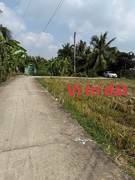 Đường xe hơi vi vu Đất đã text qui hoạch sẵn ,gần đường 827 E ( đảm bảo không dính qui hoạch. )