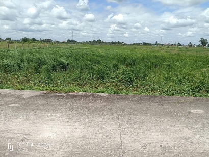 BÁN ĐẤT THUỘC XÃ NHỰT TẢO (Ấp 1 Lạc Tấn Tân Trụ Long An)