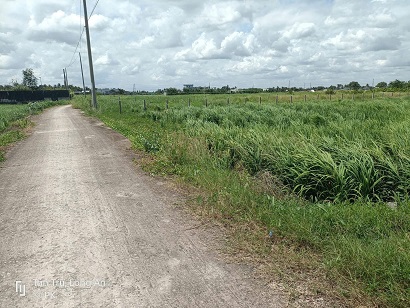 BÁN ĐẤT THUỘC XÃ NHỰT TẢO (Ấp 1 Lạc Tấn Tân Trụ Long An)