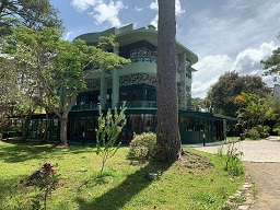 NHỮNG TỪ NGỮ EM CUỒNG CỤC ĐẤT NÀY QUÁ