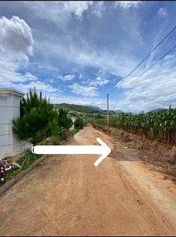 CẦN BÁN LÔ ĐẤT ĐẸP – BỒNG LAI, ĐƠN DƯƠNG – CHỈ 4,3 TỶ SỔ RIÊNG