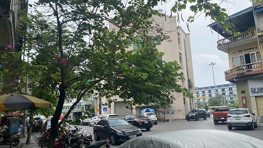 Đất Mặt Đường Giếng Đồn - Hạ Long - Vị Trí Đẹp