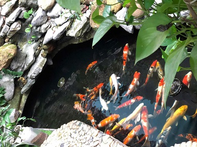 ► GIA ĐÌNH CHUYỂN HÀ NỘI LÊN MUỐN BÁN NHÀ 2 TẦNG HIỆN ĐẠI - MẶT TIỀN ĐẸP - TRUNG TÂM THỊ TRẤN LAM SƠN - THỌ XUÂN, THANH HÓA