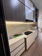 Cho thuê chung cư Park View Residence