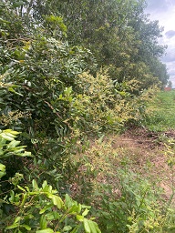 CHÍNH CHỦ GỬI BÁN – GIÁ CHỈ 500 TRIỆU