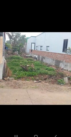 BÁN ĐẤT CHÍNH CHỦ TẠI XÓM 5, CỒN THOI, KIM SƠN, NINH BÌNH