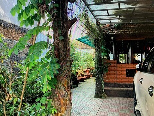 CẦN BÁN NHÀ VƯỜN ĐẸP - MẶT TIỀN ĐƯỜNG LIÊN ẤP 1-2-3, VĨNH LỘC B, BÌNH CHÁNH