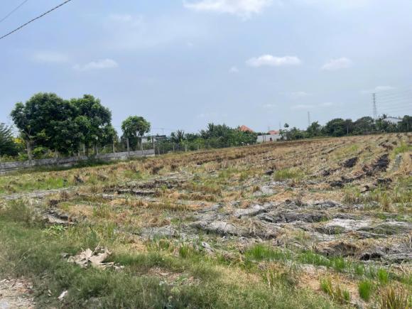 CHÍNH CHỦ BÁN ĐẤT 3 CÔNG – ẤP 3, NHỰT CHÁNH, BẾN LỨC