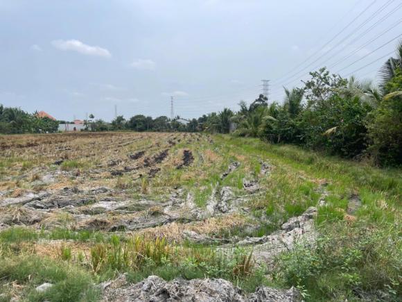 CHÍNH CHỦ BÁN ĐẤT 3 CÔNG – ẤP 3, NHỰT CHÁNH, BẾN LỨC