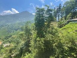 ► BÁN NHÀ ĐẤT MẶT TIỀN QL4D – TẢ PHÌN, SA PA