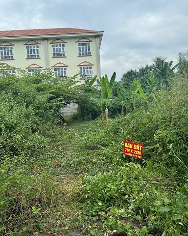 BÁN ĐẤT XÃ AN PHƯỚC – CHÂU THÀNH – BẾN TRE