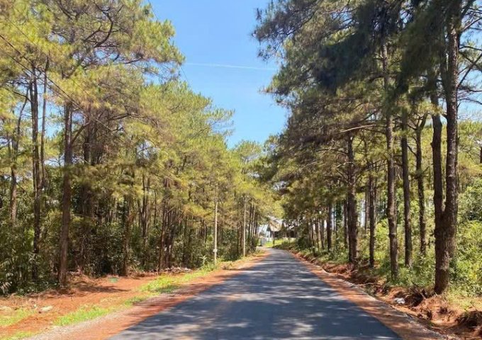 SIÊU PHẨM LÔ GÓC VIEW HỒ – ĐẸP NHẤT DỰ ÁN LABEAUTE, BẢO LỘC.