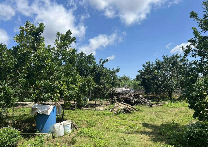 Do thay đổi định hướng kinh doanh 1 khu nghỉ dưỡng cần bán