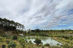 BÁN ĐẤT SÀO CHÍNH CHỦ – VIEW ĐẸP – ĐƯỜNG BÊ TÔNG – N’THOL HẠ, ĐỨC TRỌNG, LÂM ĐỒNG