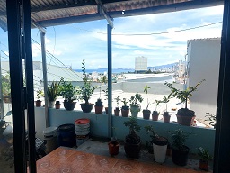 Chính chủ Cần bán nhà cấp 4 giá rẻ, hẻm Phương Mai (đường Lý Phục Man số 84/7 ), Phường Bắc Nha Trang (P. Vĩnh Phước cũ).-Tình Khánh Hoà