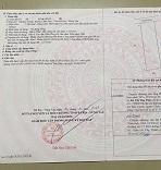 Bán Đất Tiềm Năng 1385.6m2 Tại Bàu Chinh, Châu Đức, Bà Rịa – Vũng Tàu