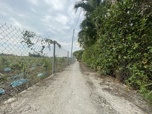 CẦN BÁN GẤP LÔ ĐẤT THỔ CƯ CHÍNH CHỦ – BẾN LỨC, LONG AN