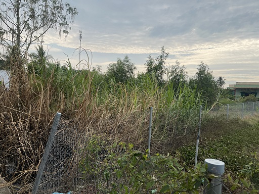 CẦN BÁN GẤP LÔ ĐẤT THỔ CƯ CHÍNH CHỦ – BẾN LỨC, LONG AN