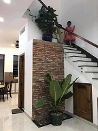 CHÍNH CHỦ CHO THUÊ NHÀ NGUYÊN CĂN – ĐƯỜNG BỜ XE LAM, XÃ TÂN KIÊN, HUYỆN BÌNH CHÁNH