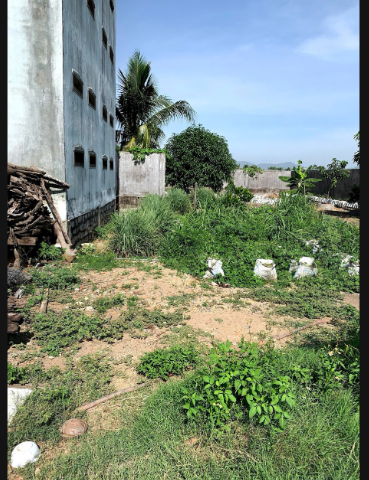 CHO THUÊ ĐẤT KÈM NHÀ DIỆN TÍCH LỚN – VỊ TRÍ ĐẸP DIÊN PHÚ, DIÊN KHÁNH