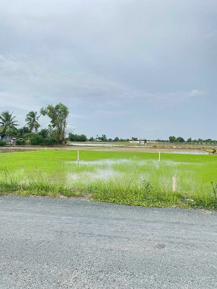 BÁN ĐẤT FULL THỔ CƯ – VỊ TRÍ ĐẸP TẠI MỸ LỆ, CẦN ĐƯỚC