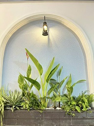 ► NHÀ MÁI THÁI CÓ NỘI THẤT – PHƯỜNG TÂN HẠNH, VĨNH LONG