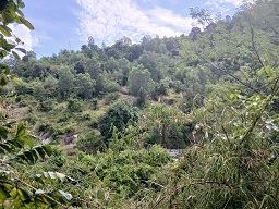 ► CƠ HỘI ĐẦU TƯ VÀNG – ĐẤT VEN BIỂN NHA TRANG