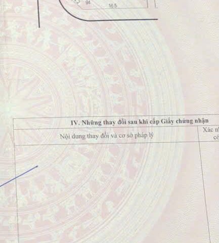 ► BÁN CẶP LÔ GÓC ĐẤT ĐẤU GIÁ – VƯỜN VẢI, YÊN DŨNG – BẮC NINH