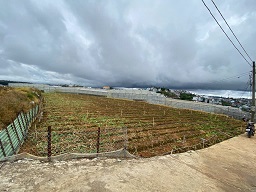 CHÍNH CHỦ CẦN BÁN ĐẤT ĐẸP TẠI PHƯỜNG 7 – ĐÀ LẠT