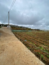 CHÍNH CHỦ CẦN BÁN ĐẤT ĐẸP TẠI PHƯỜNG 7 – ĐÀ LẠT