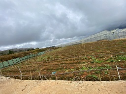 CHÍNH CHỦ CẦN BÁN ĐẤT ĐẸP TẠI PHƯỜNG 7 – ĐÀ LẠT