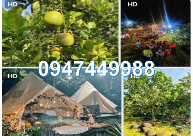 ⭐Bán 3000m2 đất ở Phường Bình Lộc (Long Khánh cũ), tỉnh Đồng Nai. 0947449988