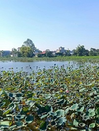 CƠ HỘI HIẾM – ĐẤT ĐẸP GIÁ RẺ HƠN 10% Vị trí vàng ngay Cụm Công Nghiệp Mỹ Thuận, tiềm năng tăng giá cực nhanh!