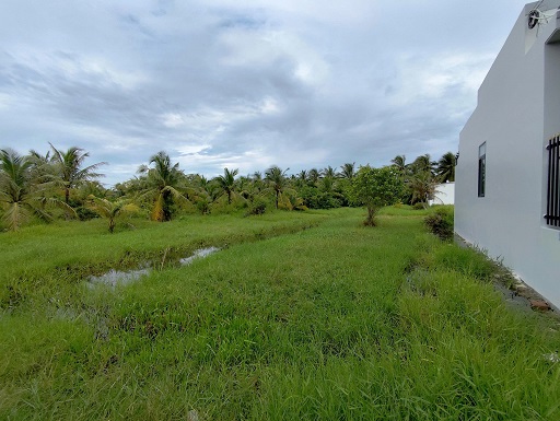 BÁN NHANH LÔ ĐẤT ĐẸP GIÁ TỐT – VỊ TRÍ TIỀM NĂNG TẠI BÌNH PHÚ, BẾN TRE