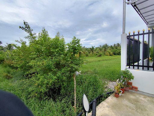 BÁN NHANH LÔ ĐẤT ĐẸP GIÁ TỐT – VỊ TRÍ TIỀM NĂNG TẠI BÌNH PHÚ, BẾN TRE