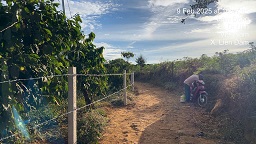 CHÍNH CHỦ BÁN ĐẤT TRỒNG CÀ PHÊ 3 – Di Linh Lâm Đồng– SỔ ĐỎ – LỘ GIỚI MỚI – TIỀM NĂNG LỚ